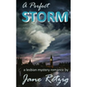 A Perfect Storm: A Lesbian Mystery Romance