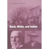 Black, White, and Indian: Race and the Unmaking of an American Family