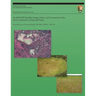 An IKONOS Satellite Image Library of Ecosystems in the Arctic Network of National Parks