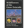 Wildflowers of the Llano Estacado