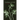 Gardening in the Dark