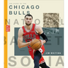 The Story of the Chicago Bulls