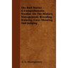 The Bull Terrier - A Comprehensive Treatise On The History, Management, Breeding, Training, Care, Showing And Judging