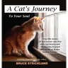 A Cat's Journey To Your Soul