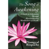 The Song of Awakening: A Guide to Liberation Through Marananussati 'Mindfulness of Death'