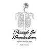 Through the Thunderstorm: A poetry through grief