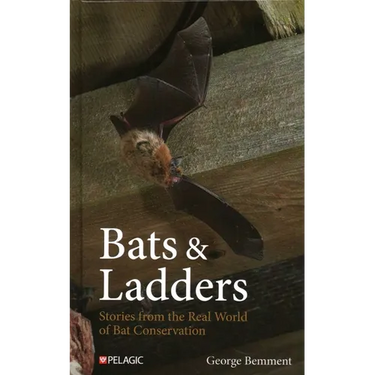 Bats & Ladders: Stories from the Real World of Bat Conservation
