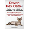 Devon Rex Cats The Pet Owner's Guide to Devon Rex Cats and Kittens Including Buying, Daily Care, Personality, Temperament, Health, Diet, Clubs and Bre