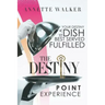 The Destiny Point Experience
