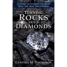 Turning Rocks into Diamonds: A Guide to Leading Leaders Into the New Millennium