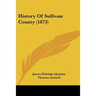 History Of Sullivan County (1873)