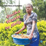 Onika Wants to Help: A True Story of Inclusion