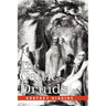 The Celtic Druids