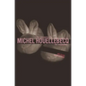 The Kidnapping of Michel Houellebecq: The Novelization
