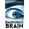 Pandora's Brain