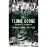 The Flume Gorge at Franconia Notch