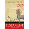Encountering Jesus in the New Testament
