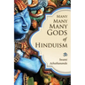 Many Many Many Gods of Hinduism: Turning believers into non-believers and non-believers into believers