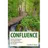 Confluence: Tools for Thinking about How Organized Plans and Self-organized Patterns Flow Together