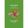 Little Wolf: A Tale of the Western Frontier