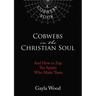 Cobwebs in the Christian Soul: And How to Zap the Spider Who Made Them