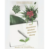 The Abundance Mindset: Mind Over Money