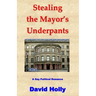 Stealing the Mayor's Underpants: A Gay Political Romance