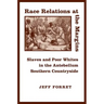 Race Relations at the Margins: Slaves and Poor Whites in the Antebellum Southern Countryside