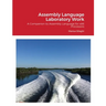 Assembly Language Laboratory Work