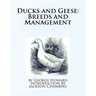 Ducks and Geese: Breeds and Management
