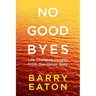 No Goodbyes: Life-Changing Insights from the Other Side