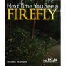 Next Time You See a Firefly