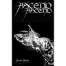Ascend Ascend