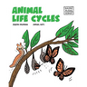Animal Life Cycles