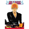 Bleach, Vol. 19: The Black Moon Rising