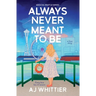 Always Never Meant To Be: A Love Story