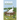 Swan Summer