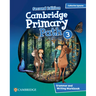 Cambridge Primary Path Level 3 Grammar and Writing Workbook