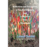 Reflections and Perceptions, a Touch of Euphoria and a Reprieve from Misophonia