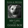 My Life as a Good Boy