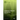 Radiation Tolerant Electronics, Volume II