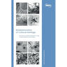 Biodeterioration of Cultural Heritage: Dynamic Interfaces between Fungi, Fungal Pigments and Paper