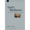 God's Mediators: A Biblical Theology of Priesthood Volume 43