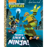 Skate Like a Ninja! (Teenage Mutant Ninja Turtles)
