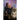 Fated Bond: Book 1 of The Faelinn Chronicles