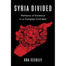 Syria Divided: Patterns of Violence in a Complex Civil War