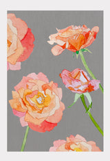 Art Print:  Peach Roses on Grey by India & Purry