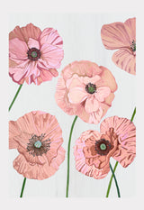 Art Print:  Rose Poppies on Pale Grey by India & Purry