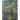 The Disenchanted Forest