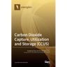 Carbon Dioxide Capture, Utilization and Storage (CCUS)